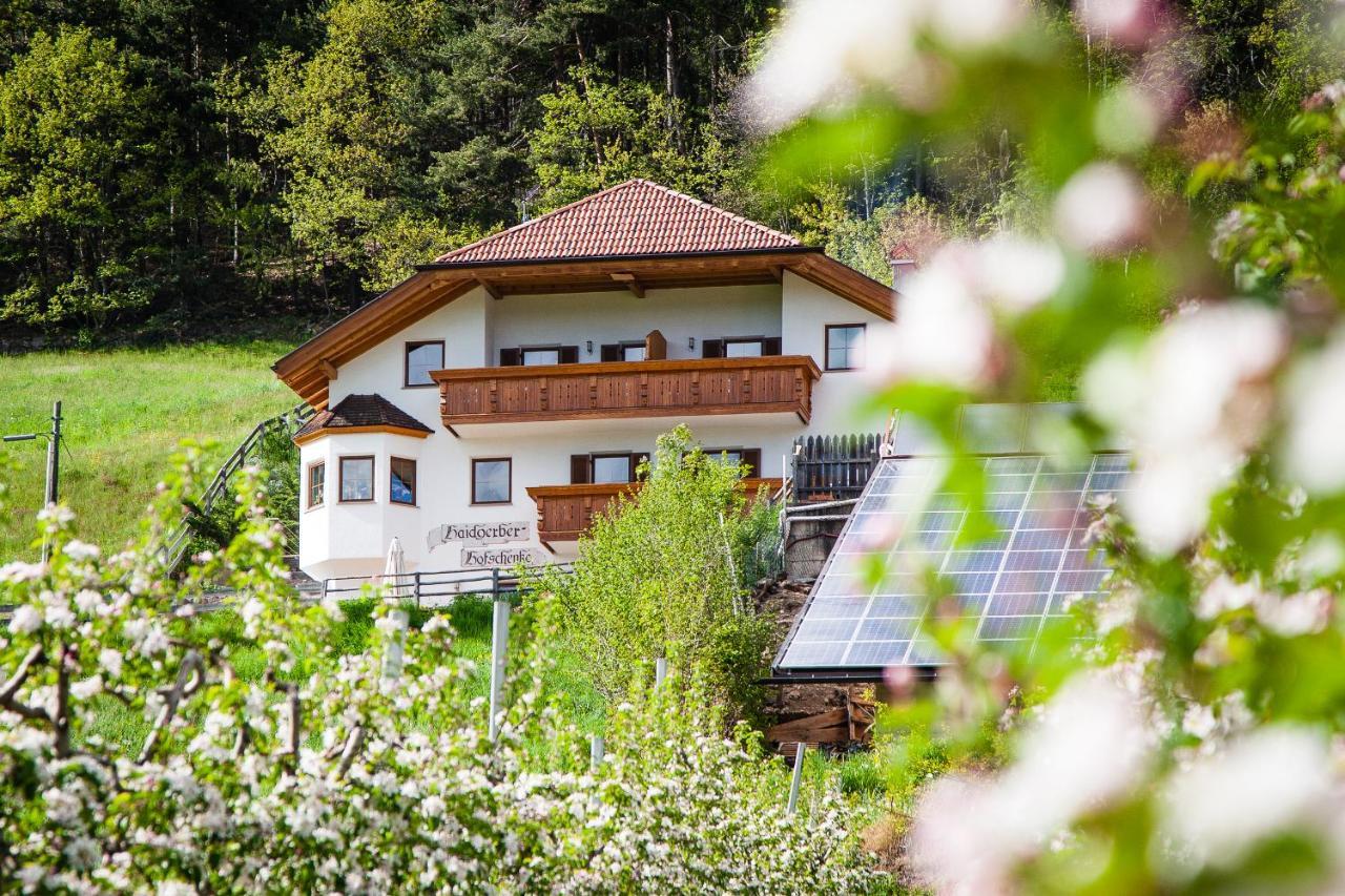 Haidgerberhof - Apartments & Homemade Food Longostagno Esterno foto